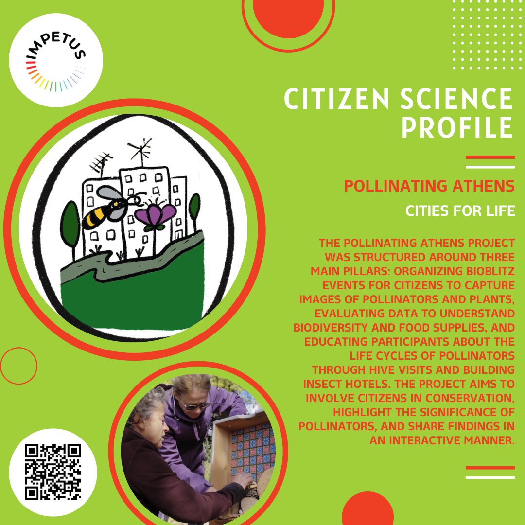 #CitizenScience Profile Discover the significance of pollinators spp with Pollinating Athens! Engaging residents through Bioblitz events and urban hive monitoring, the team analysed data to assess #pollinator populations and identify key food sources. impetus4cs.eu/pollinating-at…