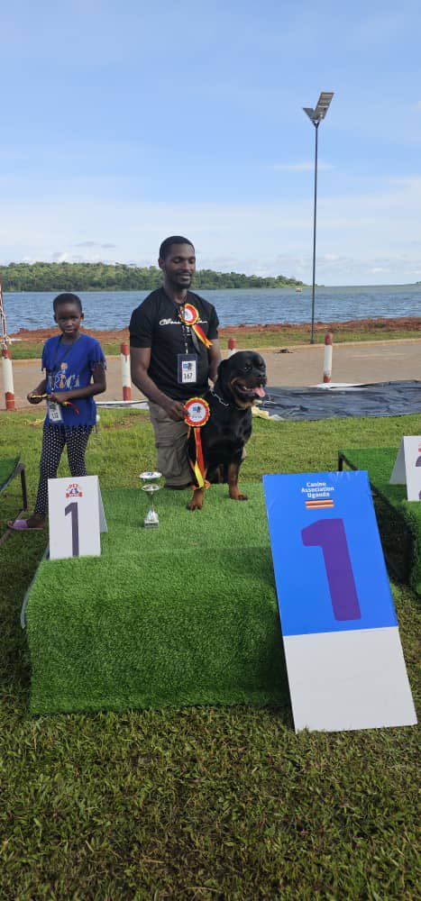CanineAUganda's tweet photo. We had a blastful weekend at @spekeresortπΎπΎπΎ.
Thank you all for participating π₯³ππΎπΎ
Congratulations to all the winners and there proud owners.πππ
#dogshowweekend
#caupedigreedogs
#caudogs https://t.co/DtzDStzSA8