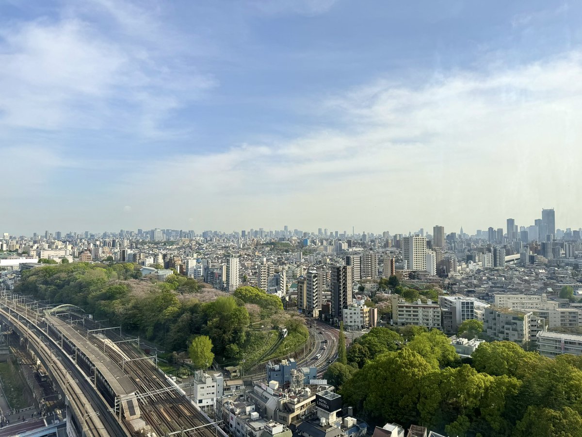 AlkaliDubby's tweet photo. 桜散る #王子 #飛鳥山 https://t.co/pwo69jTR5N