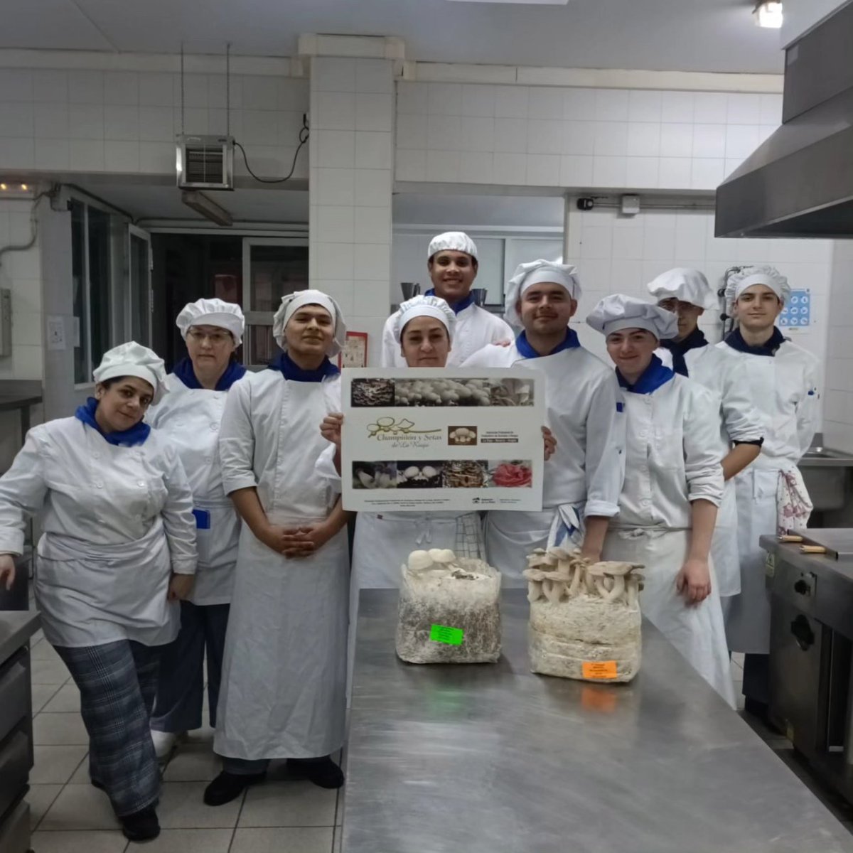 Los alumnos del #cfgmcocinaygastronomia han aprendiendo sobre el mundo de #setasyhongos en el módulo de #preelaboración de la mano del CTICH (Centro Tecnológico de Investigación del Champiñón de La Rioja) <a href="/ctich_rioja/">CTICH</a> 
 #champiñones #fp #soria