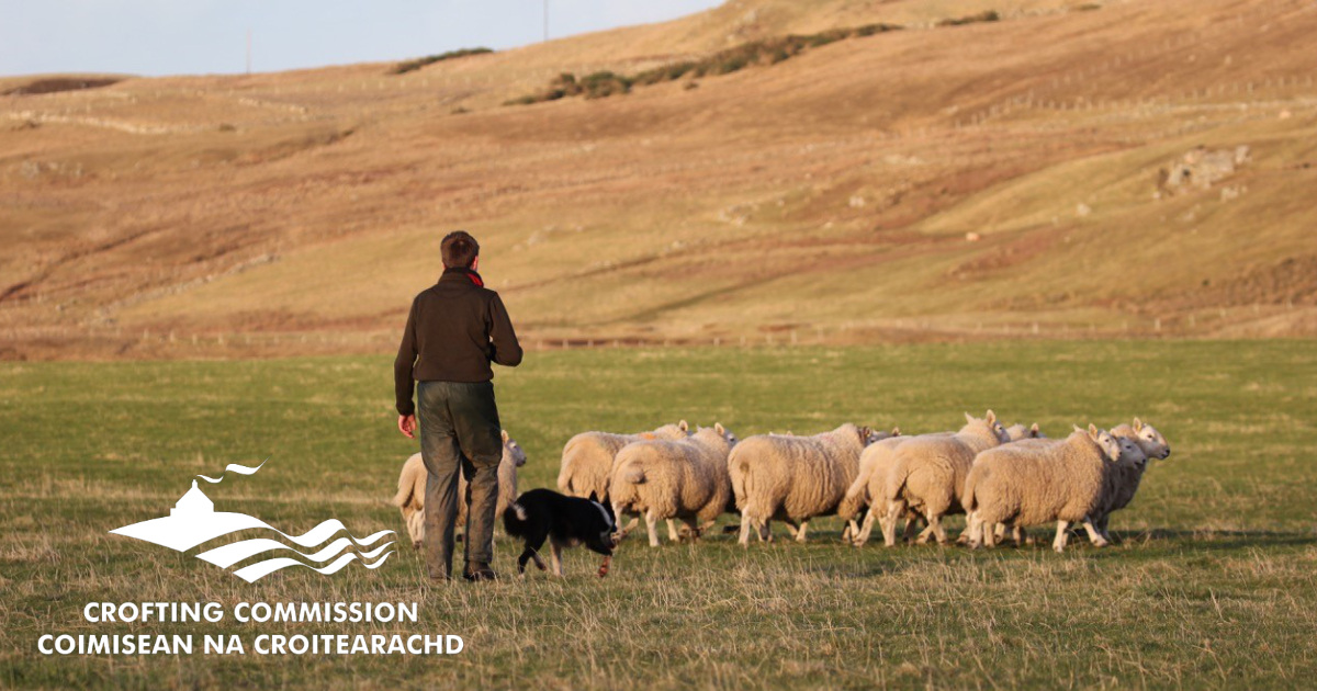 **Calling all aspiring crofters! ** Thinking about starting a life in crofting? The Crofting Commission is here to help! We offer support and guidance throughout the process. ➡️crofting.scotland.gov.uk/crofting-devel… #Crofting #Scotland #RuralLife