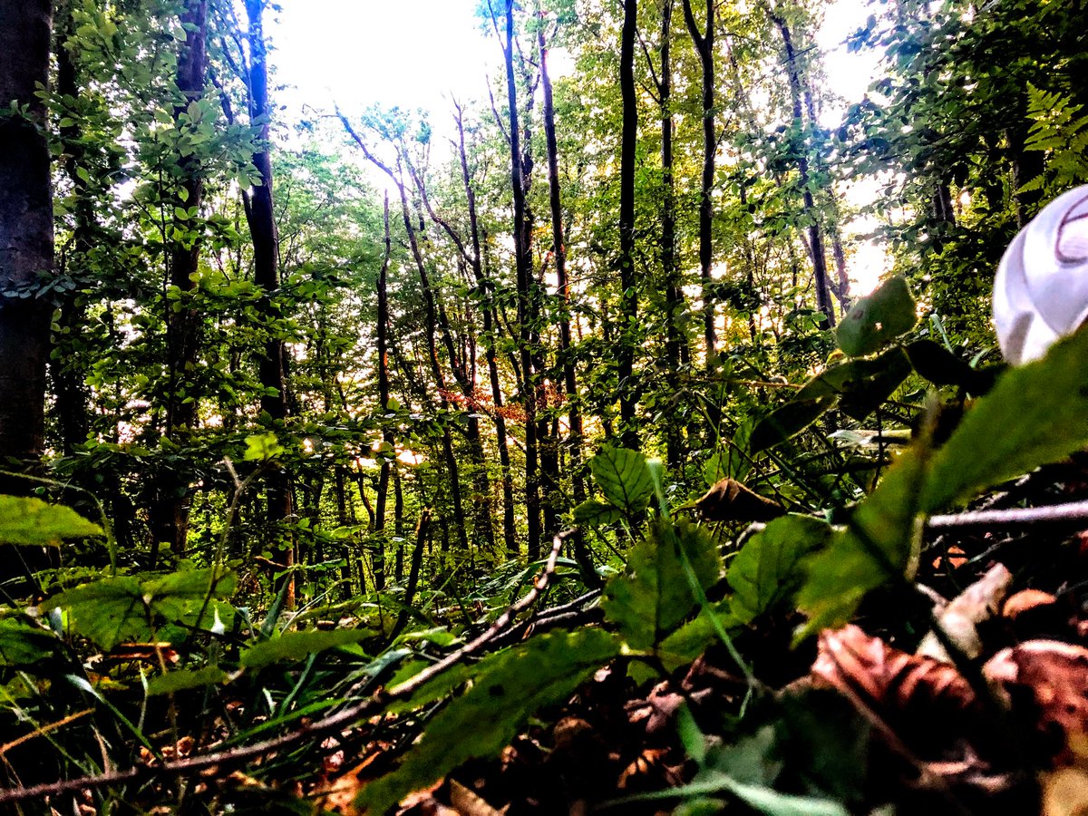Tüm hikayeler anlatılıp, uyku sessizliği çöktüğünde, hissettiğin tüm sevgiyle uyandır evreni, ki yırtılsın yalan perdesi... 🍀💚