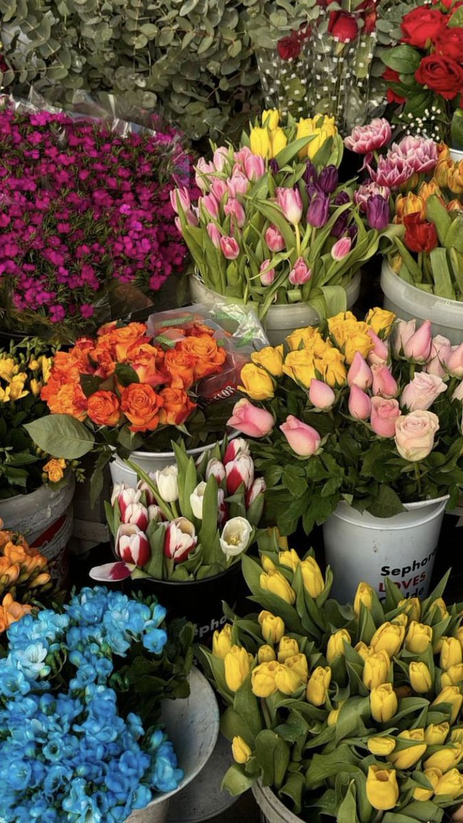 f⍳o⍵er (@flowers_7_) on Twitter photo 