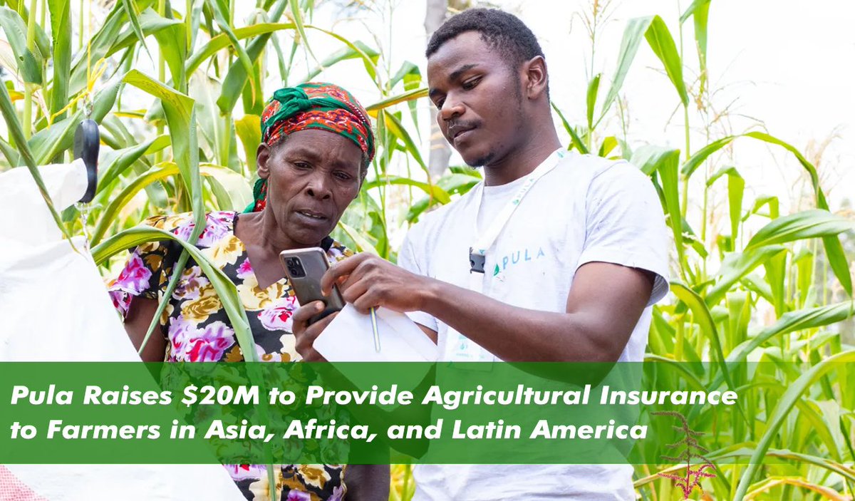 @AdvisorsPula has secured $20M in Series B funding led by BlueOrchard to expand livestock coverage and reach 100M smallholder farmers. With over 100 partners, #ClimateResilience #SustainableFarming