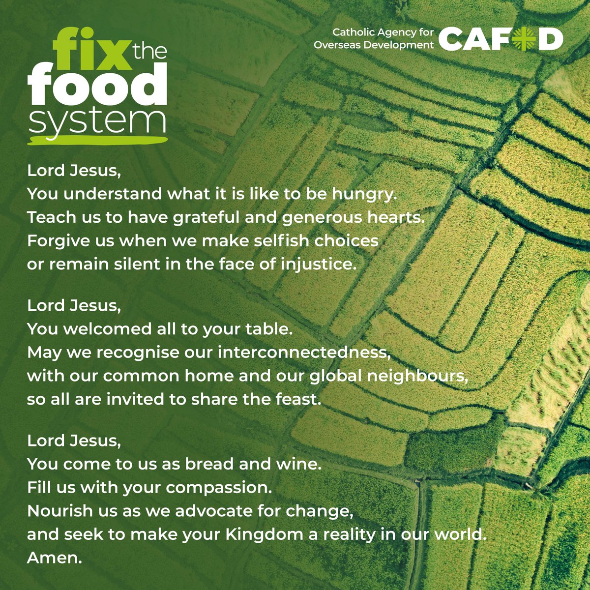 Join us in prayer for a more just food system: May we recognise our interconnectedness, with our common home and our global neighbours, so all are invited to share the feast.🙏 Find out more about our #FixTheFoodSystem campaign here: cafod.org.uk/campaign/fix-t…