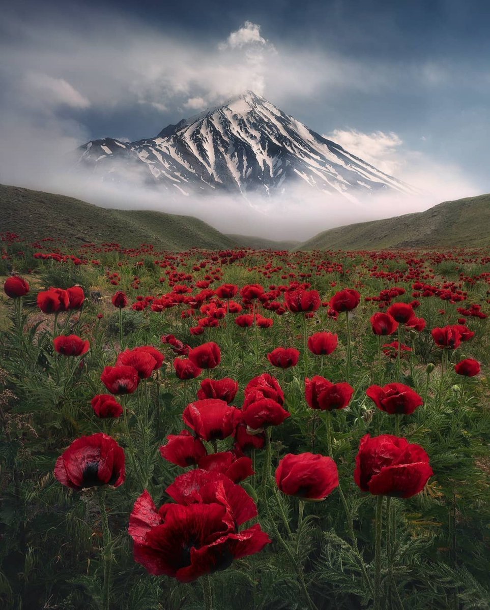 'Mount Damavand #Iran' #photography by Hossein Sedghi