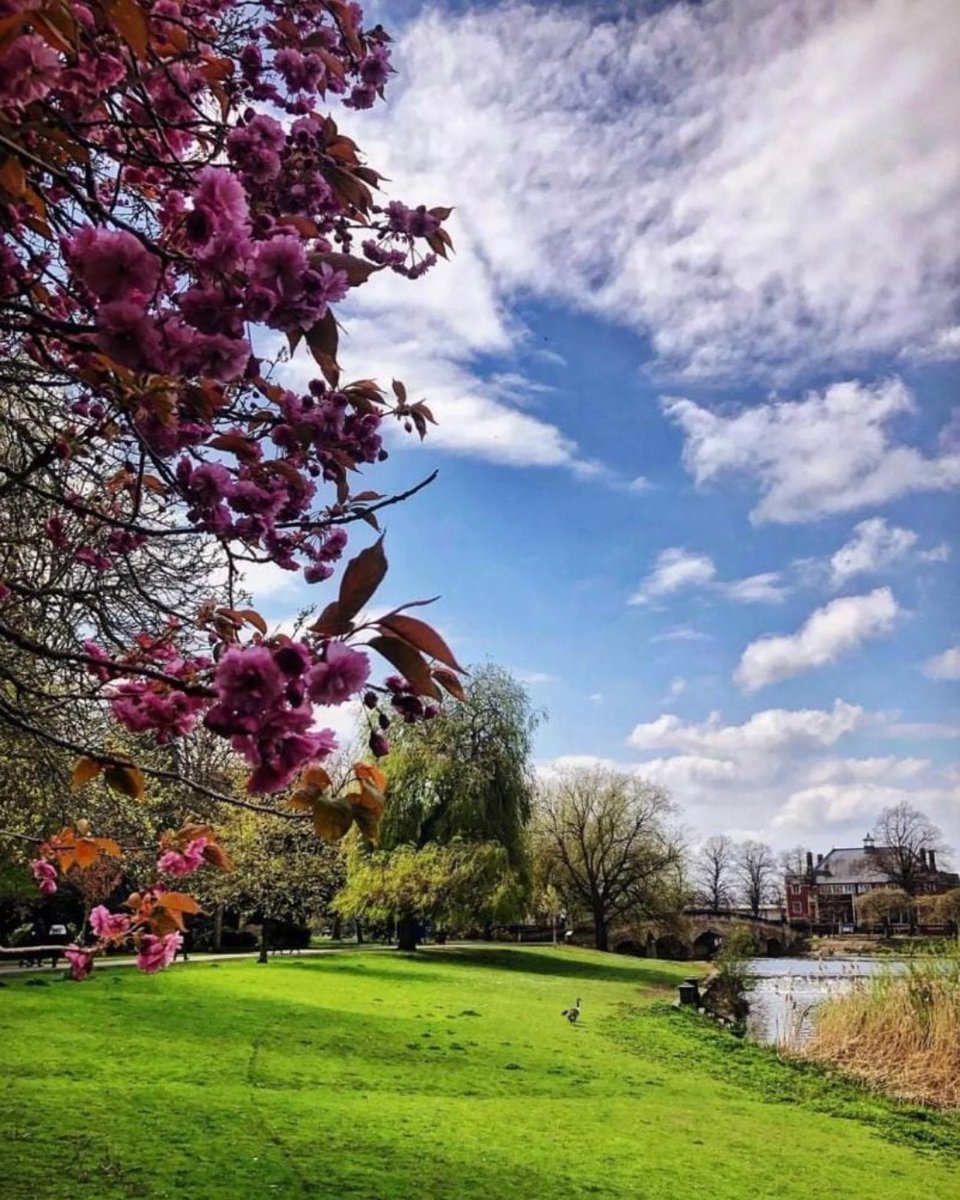 YOUNG ENVIRONMENTAL VOLUNTEERS PROGRAMME for 2024 monthly session for young people aged 13-18 the last Sunday of the month from 10am - 12.  This is a great opportunity to learn basic bushcraft skills and find out more about nature,  friendsoffullarton.co.uk