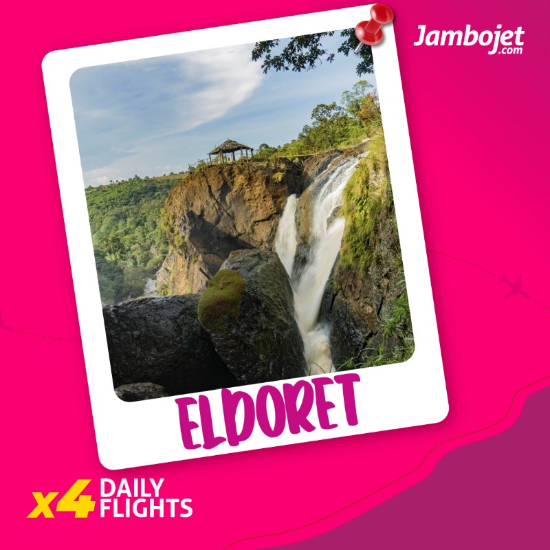 FlyJambojet tweet picture