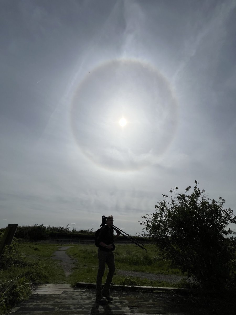 Did you see the rare Halo sun yesterday? This is it over Rainham Marshes @RSPBRainham #halosun