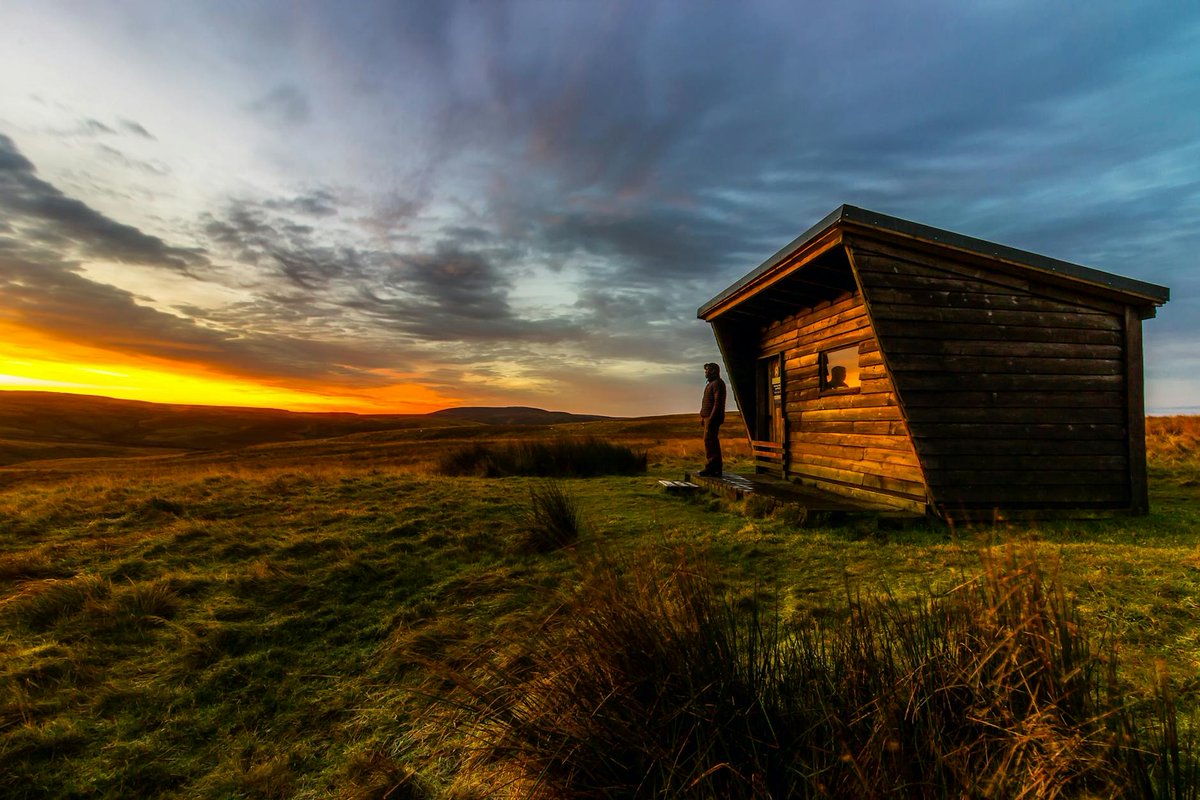 CozyProNest's tweet photo. Downsize Your Dreams, Upsize Your Freedom: A Guide to DIY Tiny House Living https://t.co/znREKHjSEj https://t.co/mQwAcAbXyL