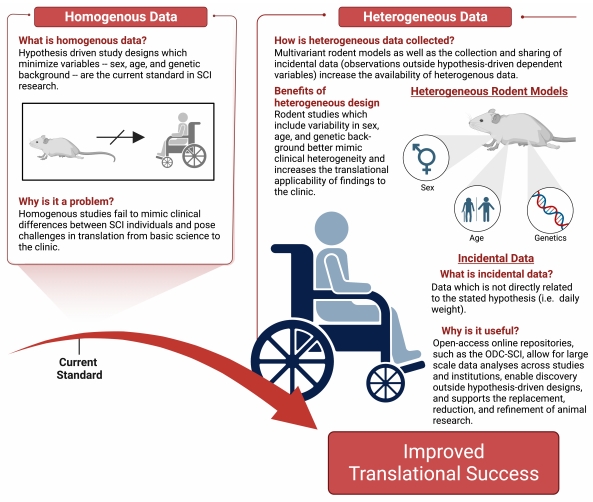 #spinalcordinjury #datasharing #subjectheterogeneity #research
Data and subject heterogeneity and data sharing: keys to translational success in spinal cord injury research?
journals.lww.com/nrronline/full…
@UKYMedicine