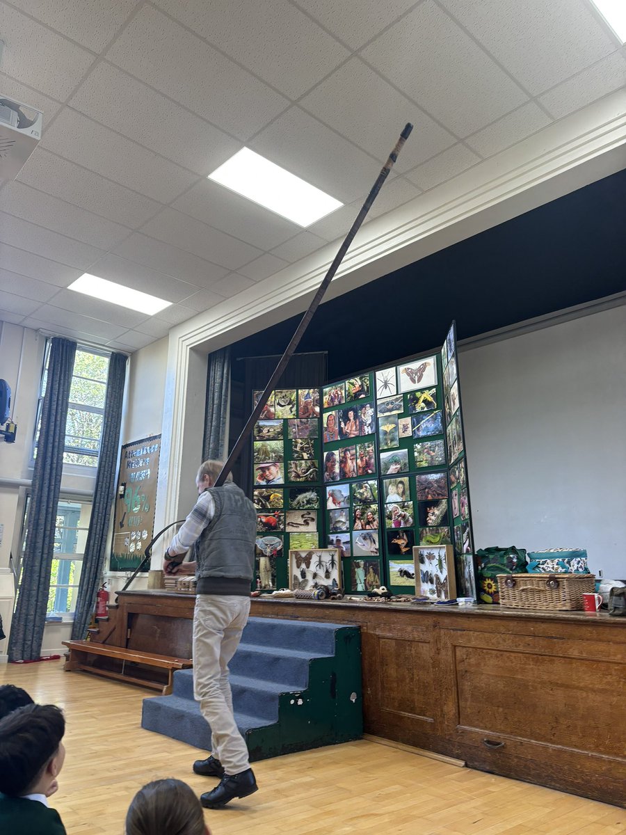 elstonhallsch's tweet photo. Y4 are thrilled to welcome Rainforest Dave to our school today! He has us enthralled already! Did you know he has been to the rainforest over 60 times?! #thematic #bringittolife we are just learning about this amazing weapon. https://t.co/VJAIz7uVxR