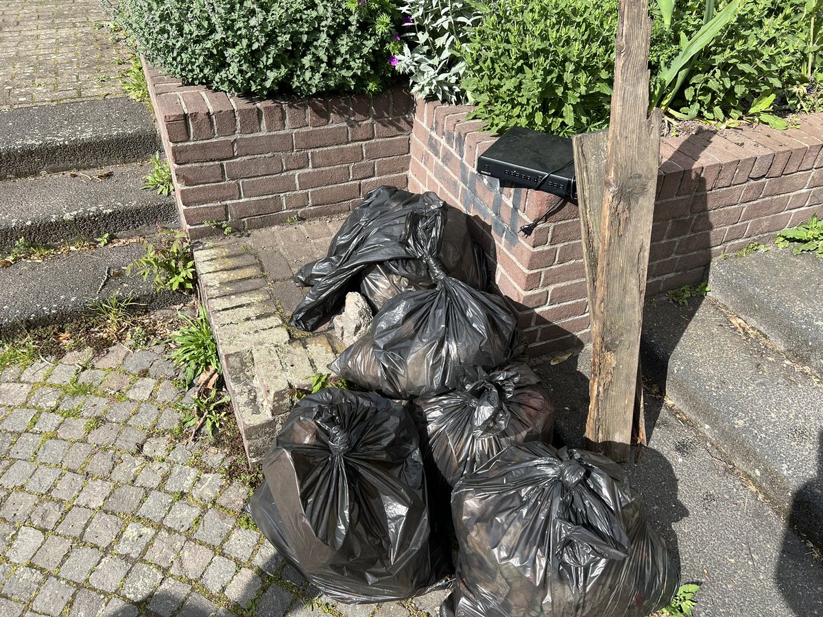 Daniel Lips tweet media