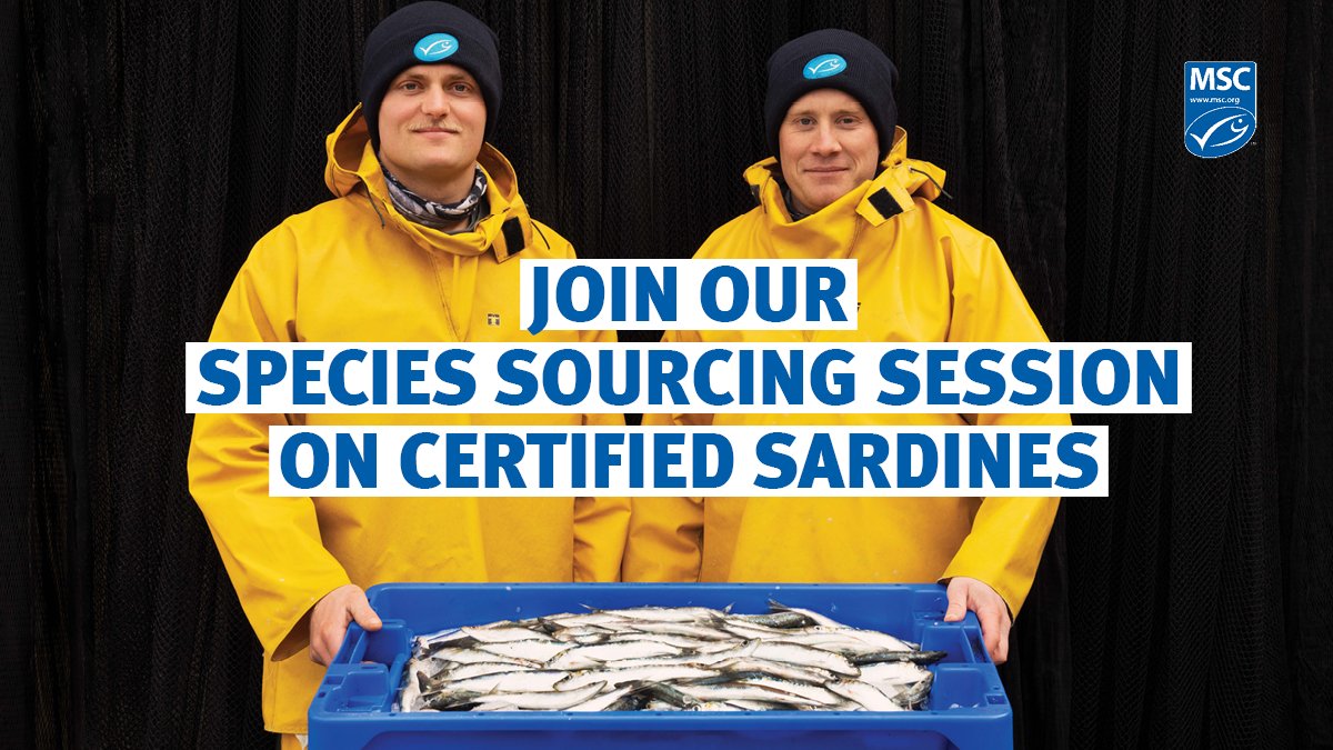 🛒💙 We’re hosting a Species Sourcing Session on MSC certified sardines at @SeafoodExpo_GL! Register and attend to learn about sourcing opportunities & market/fishery developments for these important pelagic species. ➡ bit.ly/3uRcUci #MSCecolabel #SustainableSeafood