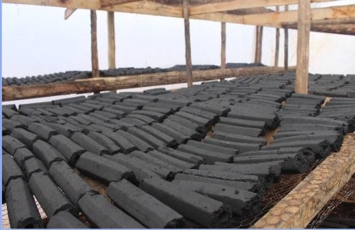 GodwilAmutuheir's tweet photo. Why choose between affordability and sustainability when you can have both? With #Kwanzabriquettes, you save money and help protect the environment. Make the switch today! 💰🌳 #cookingsolutions #environment #conservation #nature #briquettes https://t.co/Vwc1sGuUO3