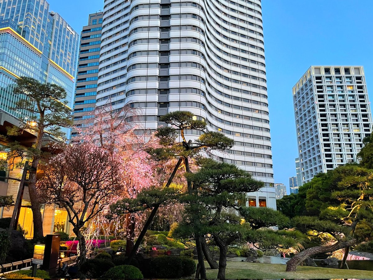 tomoflu's tweet photo. 演奏の前後に日本庭園を楽しみました♡
どこを見てもうっとりするほどの景色で、まるで絵画のよう…😍 https://t.co/SeIar2LSW6
