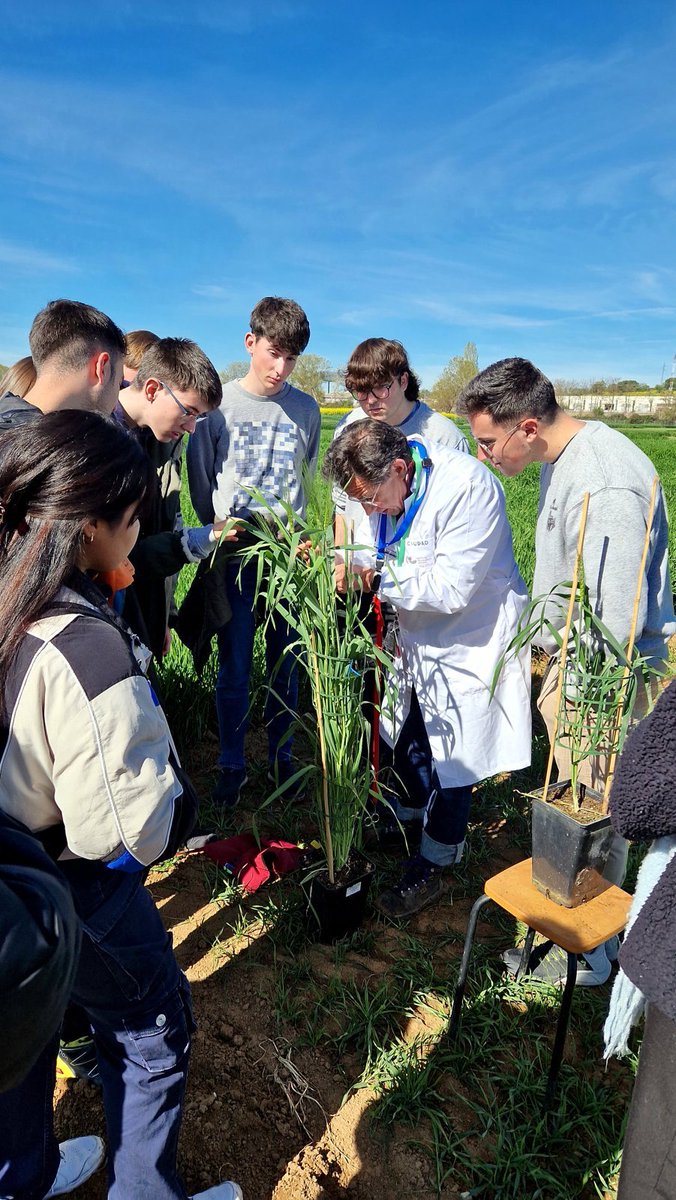 #Noticias_UBU | Estudiantes de Ingeniería Agroalimentaria y del Medio Rural visitan el @ITACYL . Este centro busca aplicar la investigación agraria y la innovación, desarrollar tecnologías y servicios y fomentar la industria agroalimentaria. ►ubu.es/noticias/estud…