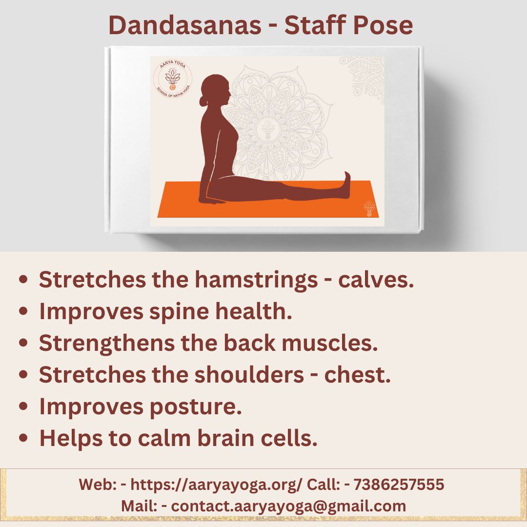 The posture of the Day, 'Dandasana'. Have a healthy day. 
#poseoftheday #pictureoftheday #asanaoftheday #aaryayoga #asanas #yoga #theaaryayoga #yogattc #USALLIANCE #healthyyoga