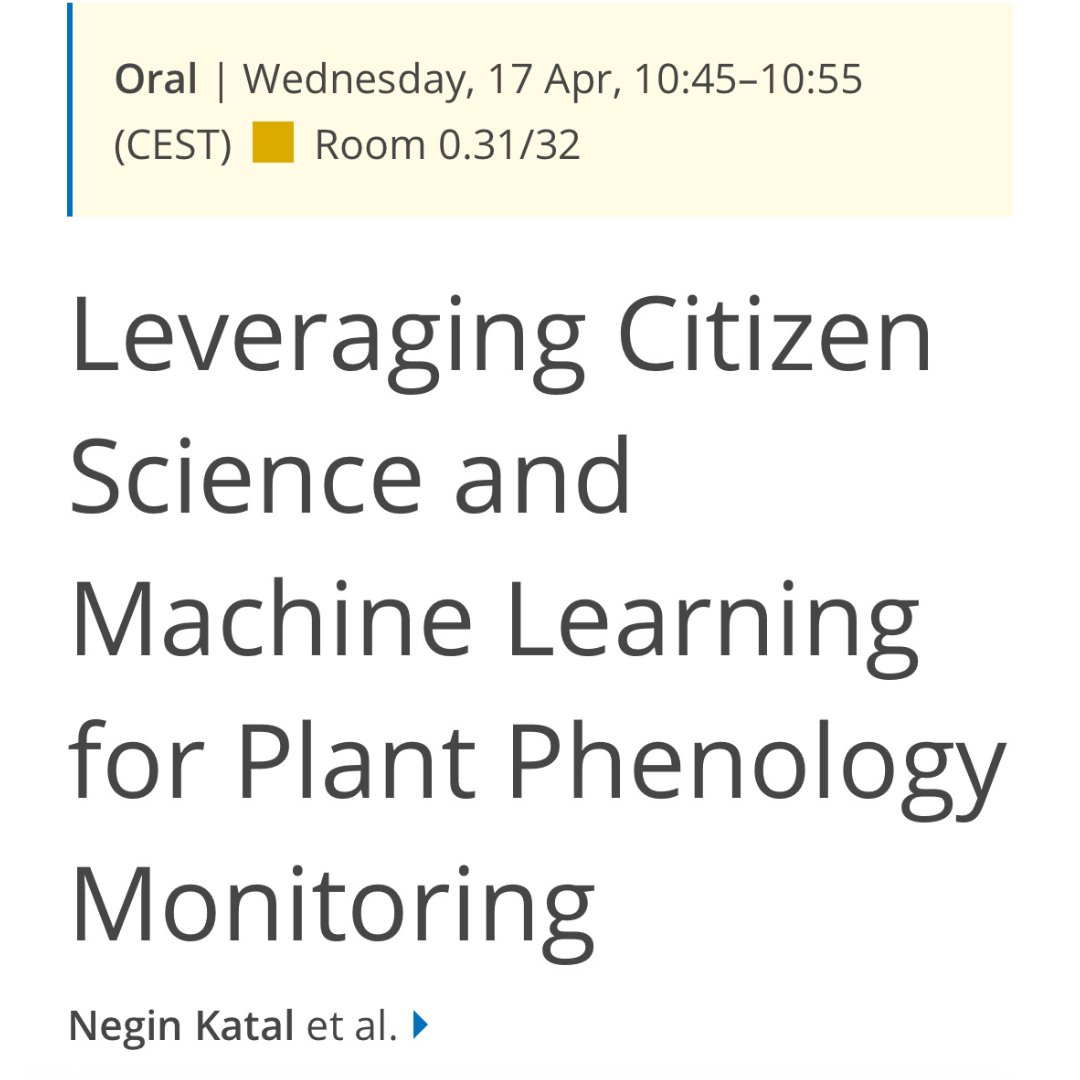 If you are at @EuroGeosciences, say hi to our PhD student @KatalNegin, and make sure to follow their talk on Wednesday if you want to know more about our current research! #EGU24 #FloraIncognita #Phenology