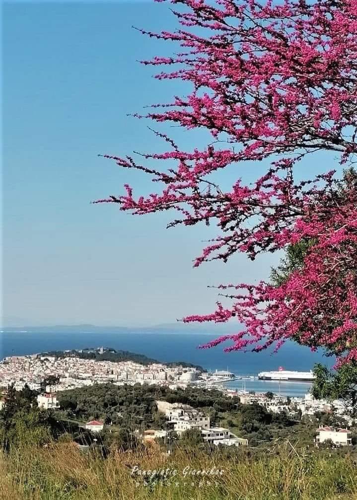 Καλημέραααααααα!!!!!🫶🌸🇬🇷🇬🇷🇬🇷🇬🇷