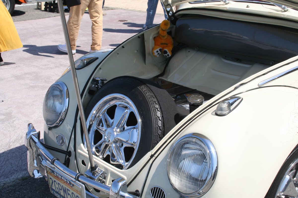 rosy_matsushita's tweet photo. 首が日焼けして痛いー
#orangebug https://t.co/WGKBcr4Okk