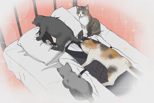 「黒髪 三毛猫」のTwitter画像/イラスト(新着)
