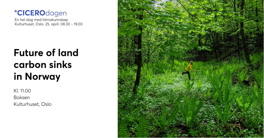 Why is Norway's land carbon sink declining & how can the sink be managed in the future? Learn more at the @CICERO_klima day (25/04), with presentations from @Jo_Breidenbach, @rosie_a_fisher, & Esben Kirk-Hansen @Bymiljoetaten. In person or stream: cicero.oslo.no/no/arrangement…