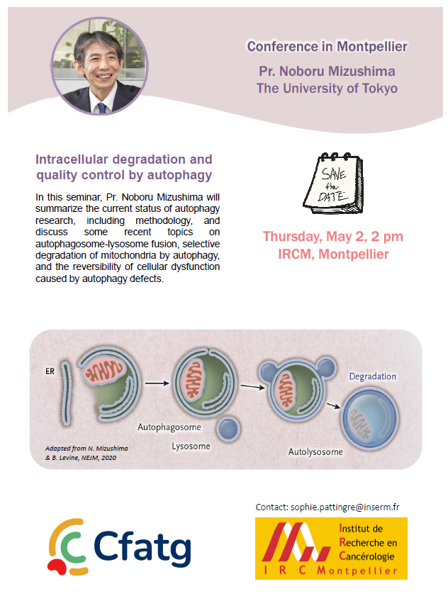 !!! AUTOPHAGY LOVERS : SAVE THE DATE !!! Pr Noboru Mizushima will give a conference at IRCM (Montpellier, Fr) Thursday, May 2 at 2 pm. The conference will available online for CFATG members. #autophagy #IRCM #Montpellier #CFATG