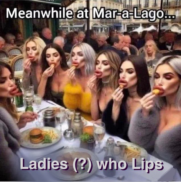 It’s an embarrassing sh*t show at Mar-a-Lago.. and then there’s wonderful normal ladies catching up at lunch. A Vote for Biden & Harrison..so we can serve ‘real’ again..instead serving up phoning fillers. ;- )