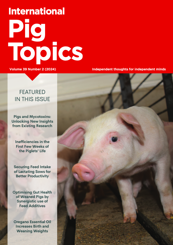 agriinsight's tweet photo. International Pig Topics 39.2 is out this week.
This issue features articles on the first few weeks of the #piglets’ life, securing #feedintake of lactating #sows, optimising gut health of weaned #pigs, oregano essential oil, and unlocking new insights from existing research. https://t.co/fJUv5n42Sc