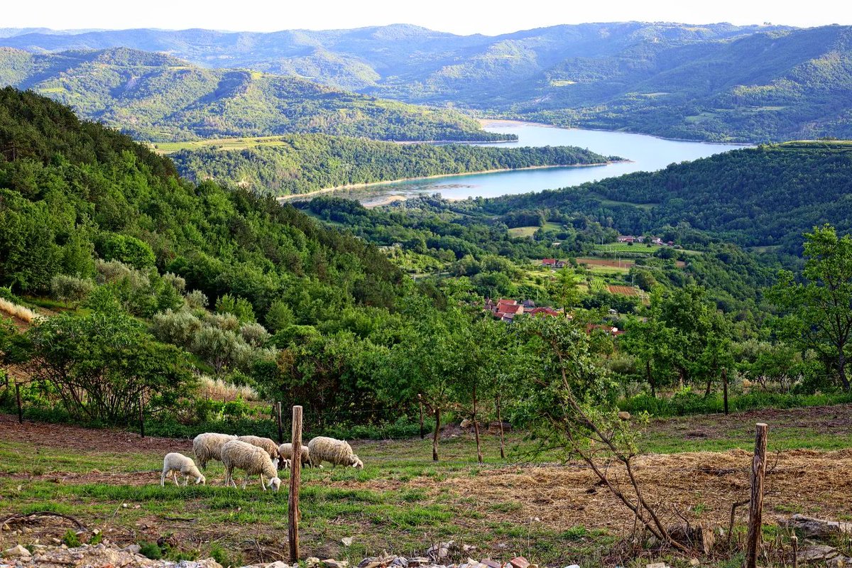 Save beautiful landscapes for busy Mondays. Vrh, Istria. ewkani #CroatiaFullOfLife