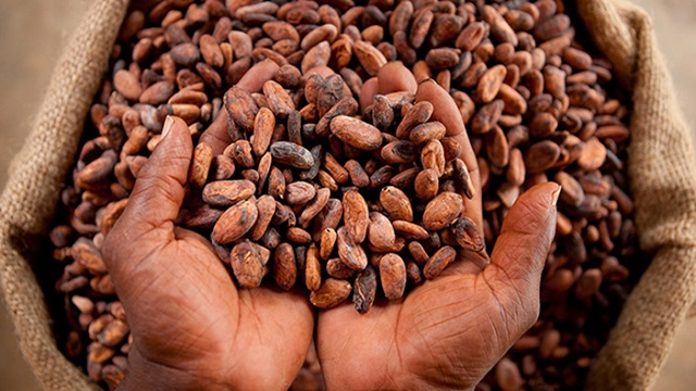 #DYK: Cocoa is Uganda's 4th leading export earner? In 2022, 🇺🇬 exported $60 million worth of #Cocoabeans, with India being the largest buyer, importing $18.1 million worth of cocoa beans, followed by 🇲🇾 🇳🇱 🇮🇹 & 🇮🇩 Source: Bank of Uganda