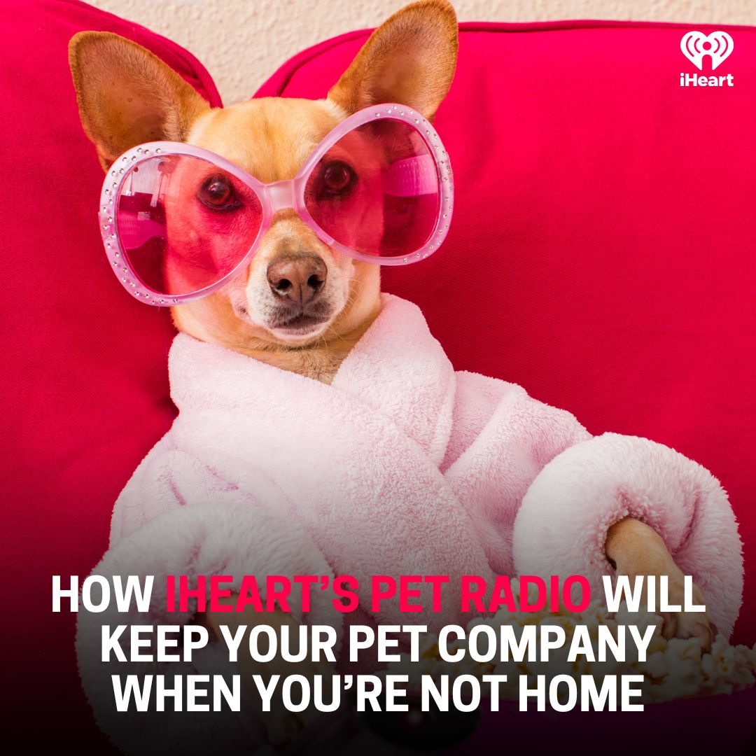 river949's tweet image. Pet Radio - You'll need a Sub-Woof-er 🤣 
FYP (For Your Pet) - bit.ly/3Whos3V 🐶 😻