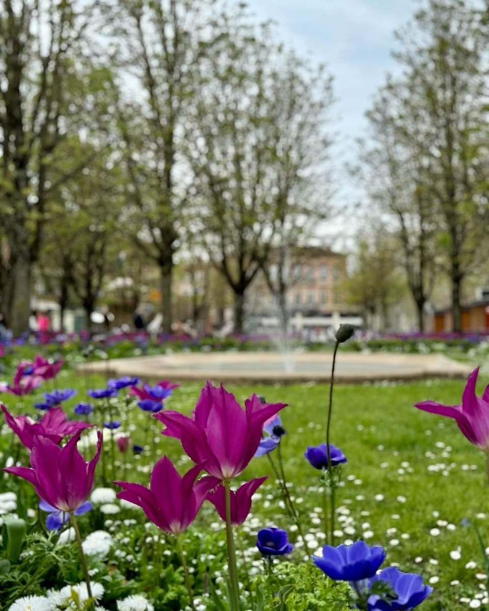 ville_albi's tweet photo. #AlbiEnPhotos
➡ Voici une sélection de 4 clichés découverts via #Albi et #partageonsalbi sur Instagram.
📷 franckrontet, little_msi, samabela5, milghauss
On se retrouve la semaine prochaine ! https://t.co/3WuTNsCoLa