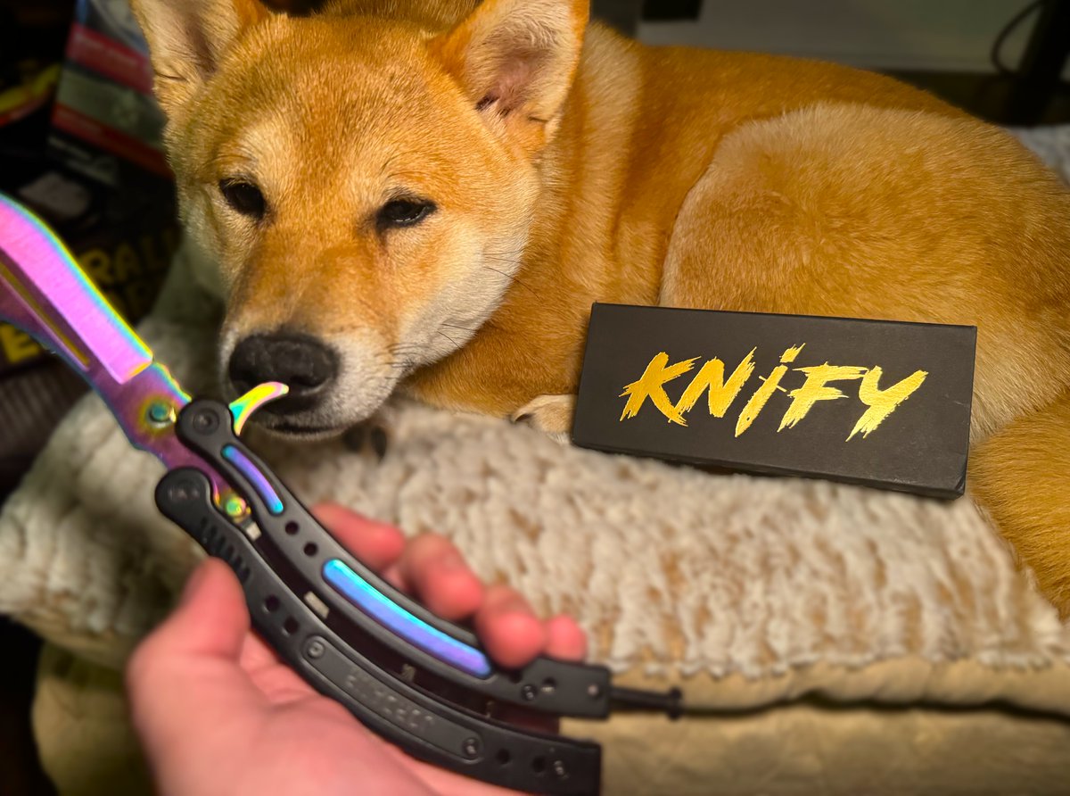 Use code JORDANR at KNIFY.GG for 10% off your purchase 🤑 Also go watch my video unboxing the knives they sent me! 🔗 youtube.com/watch?v=Vm24je…