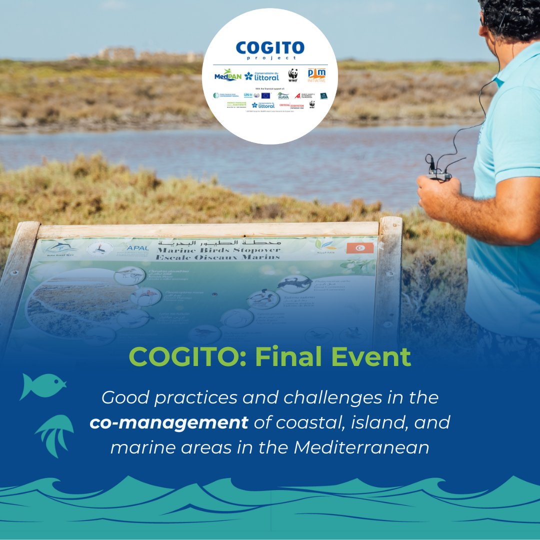 The hard work done during all these years definitely paid off! Today we will discuss the lessons learned from #COGITO projects, don’t miss the opportunity to learn about all the different experiences. 🪼🐠🐋🦐