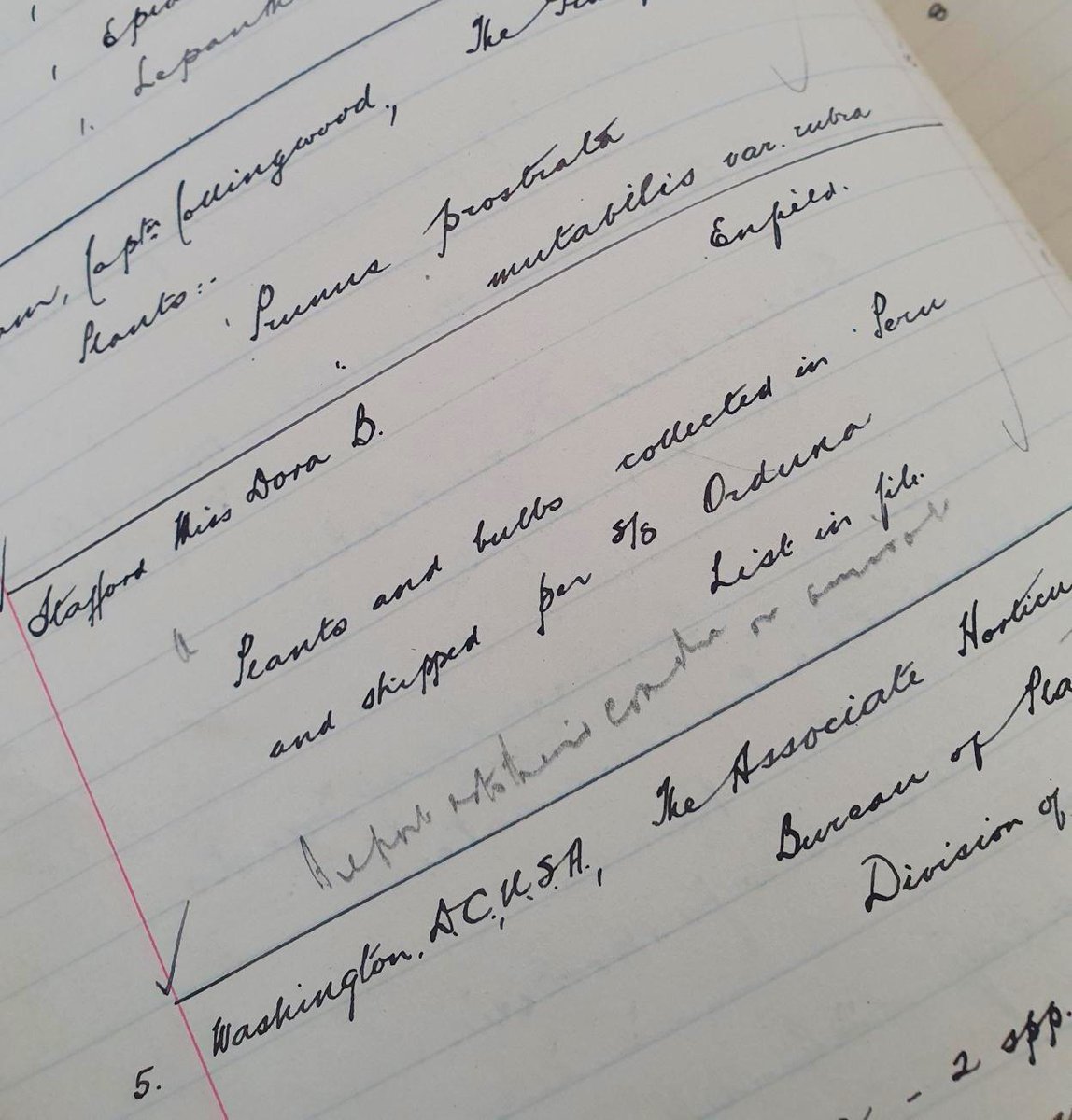 Our Archives materials relating to the Living Collections are a treasure trove of plant exchanges, connections and observations 🧐 These are lists of plants sent by Dora Stafford to Kew and we can see how well they did in the Gardens! Can you spot the 'gem' in the lists?