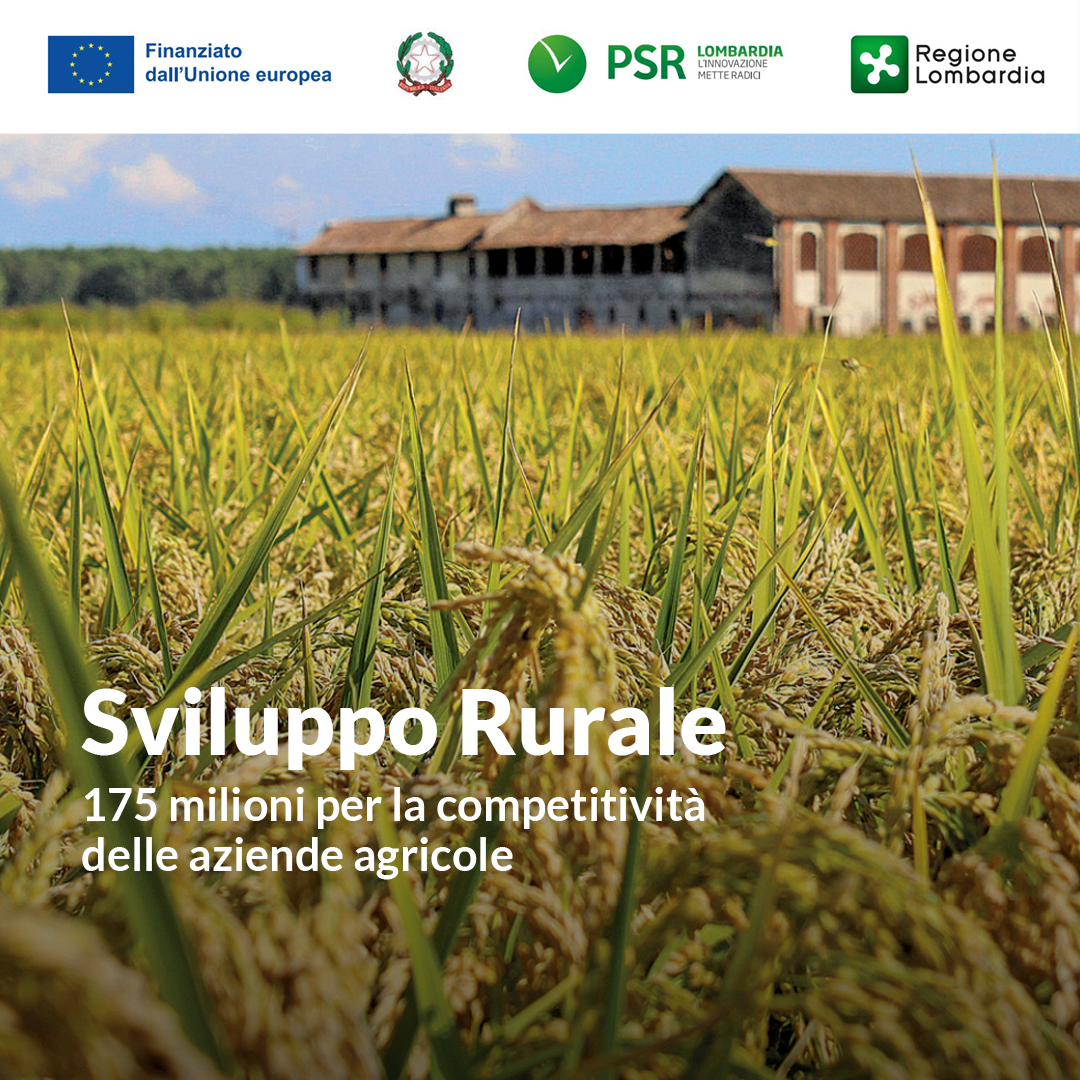 RegLombardia's tweet photo. #SviluppoRurale #PAC2327 #Lombardia
Regione Lombardia ha stanziato 175 milioni di euro destinati agli investimenti produttivi per la competitività delle aziende agricole. 

📌Domande dal 15 aprile al 9 settembre. 

Per saperne di più 👉https://t.co/wbeRnOiGfh https://t.co/Tct9SY1TED