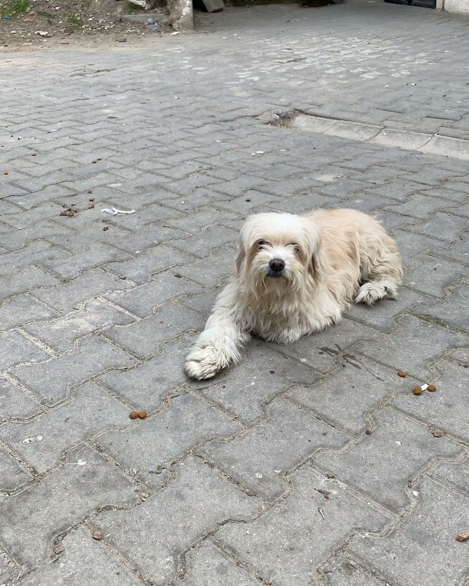 nejatarap's tweet photo. Kızımız Mira için paylaşırsanız seviniriz https://t.co/FdXPjUyDYs