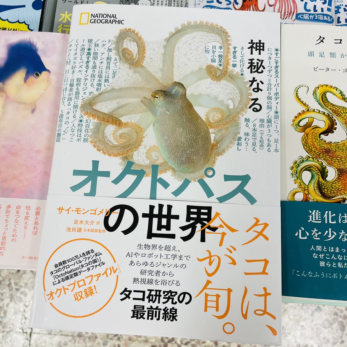 【理学】身を守る殻や硬い骨を持たない代わりに、8本の腕、3つの心臓、9つの脳という特異な体と高い知能をもつ“海底の賢者”タコ🐙とびきり奇妙で神秘的なタコの生態に迫る1冊👀✨ 『神秘なるオクトパスの世界』(日経ナショナルジオグラフィック社) D10-09にて展開中です📚n.s #日経ＢＰマーケティング