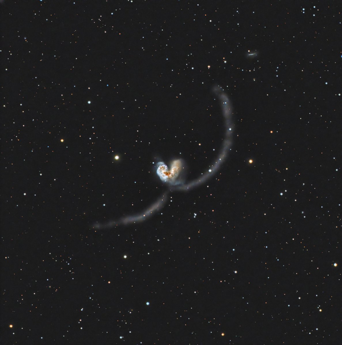 coo_xyz's tweet photo. Antennae Galaxies (NGC4038/4039)
淡いわ、低いわ で、めちゃ手強いです
ちょっと無理やり感が・・・
星はこれでそこそこ満足なんですが。
#130PHQ #ASI533MCP #AM5 #OAG-L #LPRO
120sec x 130 Gain100 -10C
2024/4/14
観音沼森林公園/福島 にて https://t.co/U6hLLrJuH5