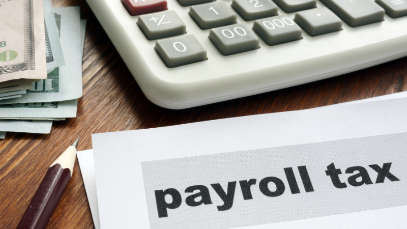 Read out this article on #PayrollTaxes : A Beginner’s Guide For Employers ----> bit.ly/3TxEMKI  #hrmanagers #payroll #compliance #savetaxes  #payrolloutsourcing #payrollprocessing #taxfriendly #payrollservices #salaryrestructuring #taxation #salarycomponents #taxbenefits