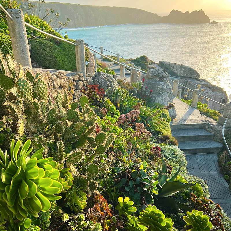 The Minack is listed as one of the best gardens in Cornwall to visit during Spring in #TImHubbard's new book, #SecretGardensofCornwall, previewed here in Cornish Life magazine. greatbritishlife.co.uk/magazines/corn…