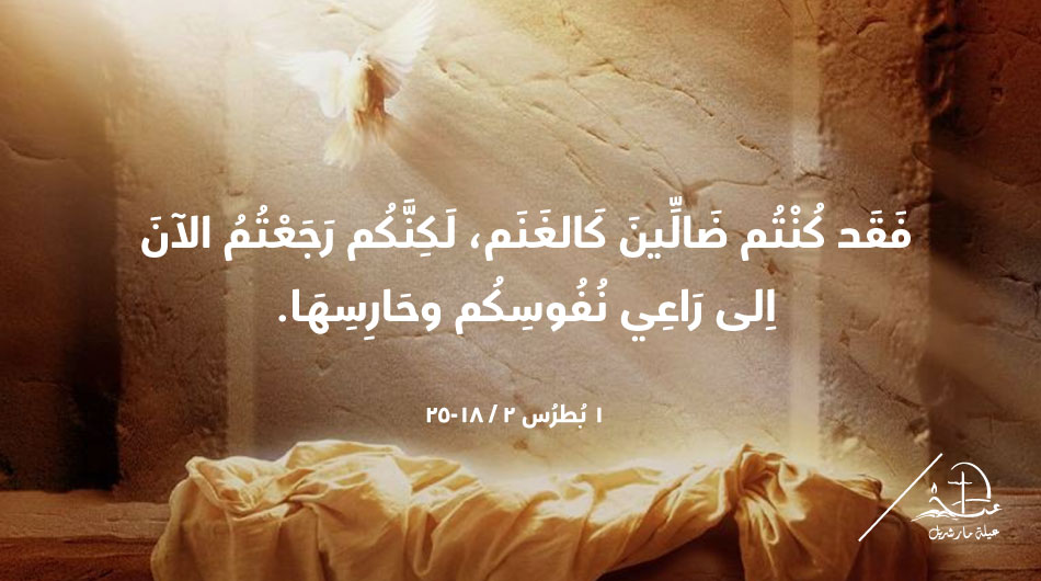 'For you had gone astray like sheep, but you have now returned to the shepherd and guardian of your souls.' 1 Peter 2 / 25
t.ly/Y1Vzh
#عيلة_مار_شربل #SaintCharbelFamily #رسالة_اليوم #epistle #Bible #JesusChrist #HolyEucharist