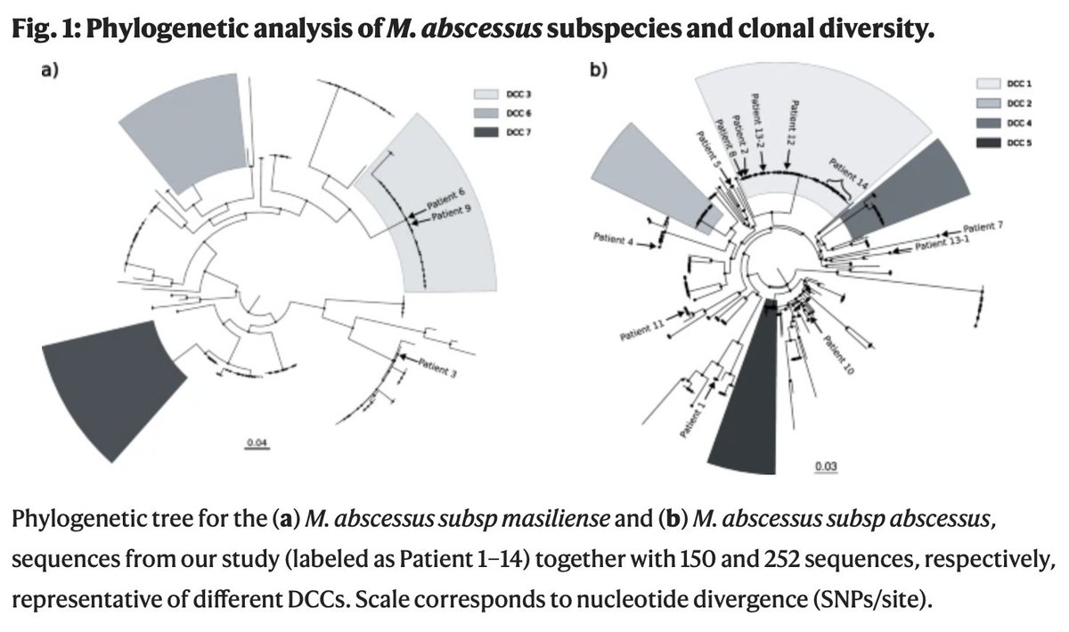 SMMCmicromadrid tweet media