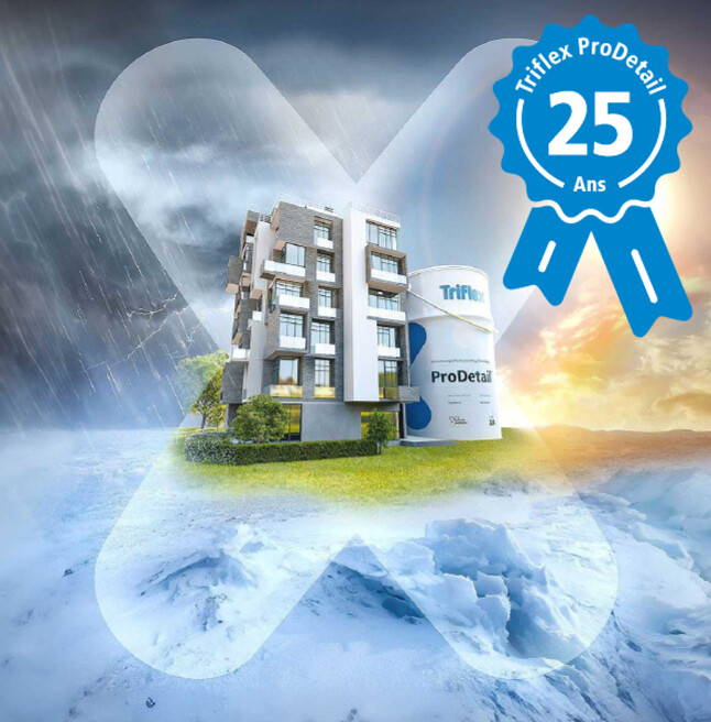TriflexFR's tweet photo. Triflex #ProDetail fête ses 25 ans 🥳
Tentez de remporter l'une des 25 cartes cadeaux mises en jeu 🎁
Comment participer ?
🔹 Achetez un seau de Triflex ProDetail avant le 30 septembre 2024.
🔹 Le tirage au sort aura lieu le 1er octobre 2024 pour déterminer les gagnants 🍀 https://t.co/ZnAfEFmrEh