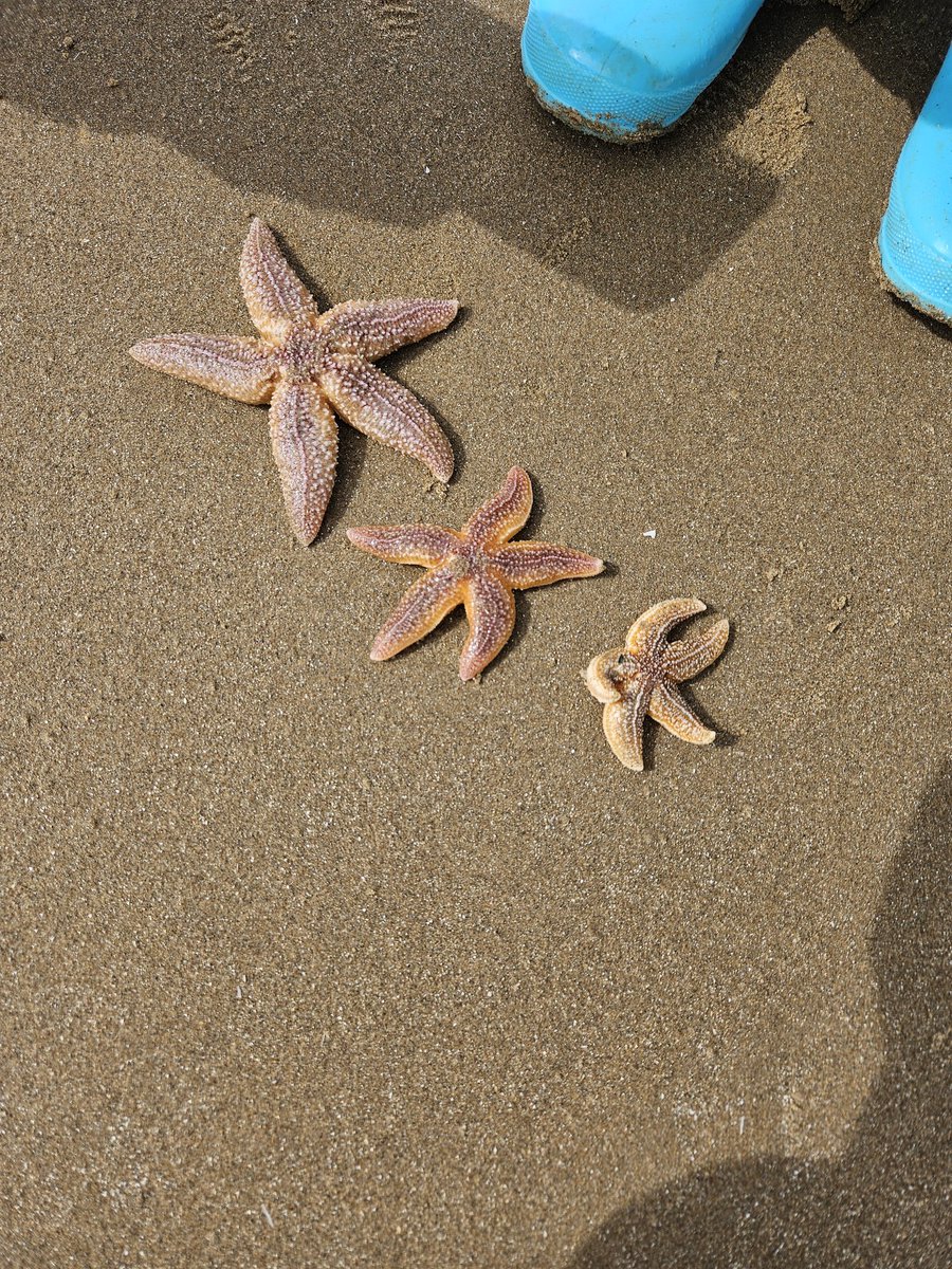 P&W_Nowicki tweet media