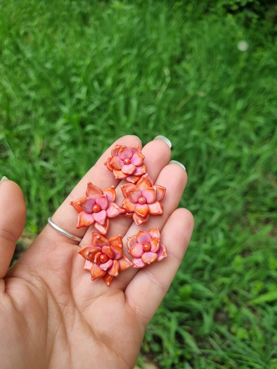 Hey 👋🏻 Bon il y a moins de soleil aujourd'hui.. je devrais être plus productive mdr 👇🏻 Les dernières succu'plantes🌿 corail 👇🏻