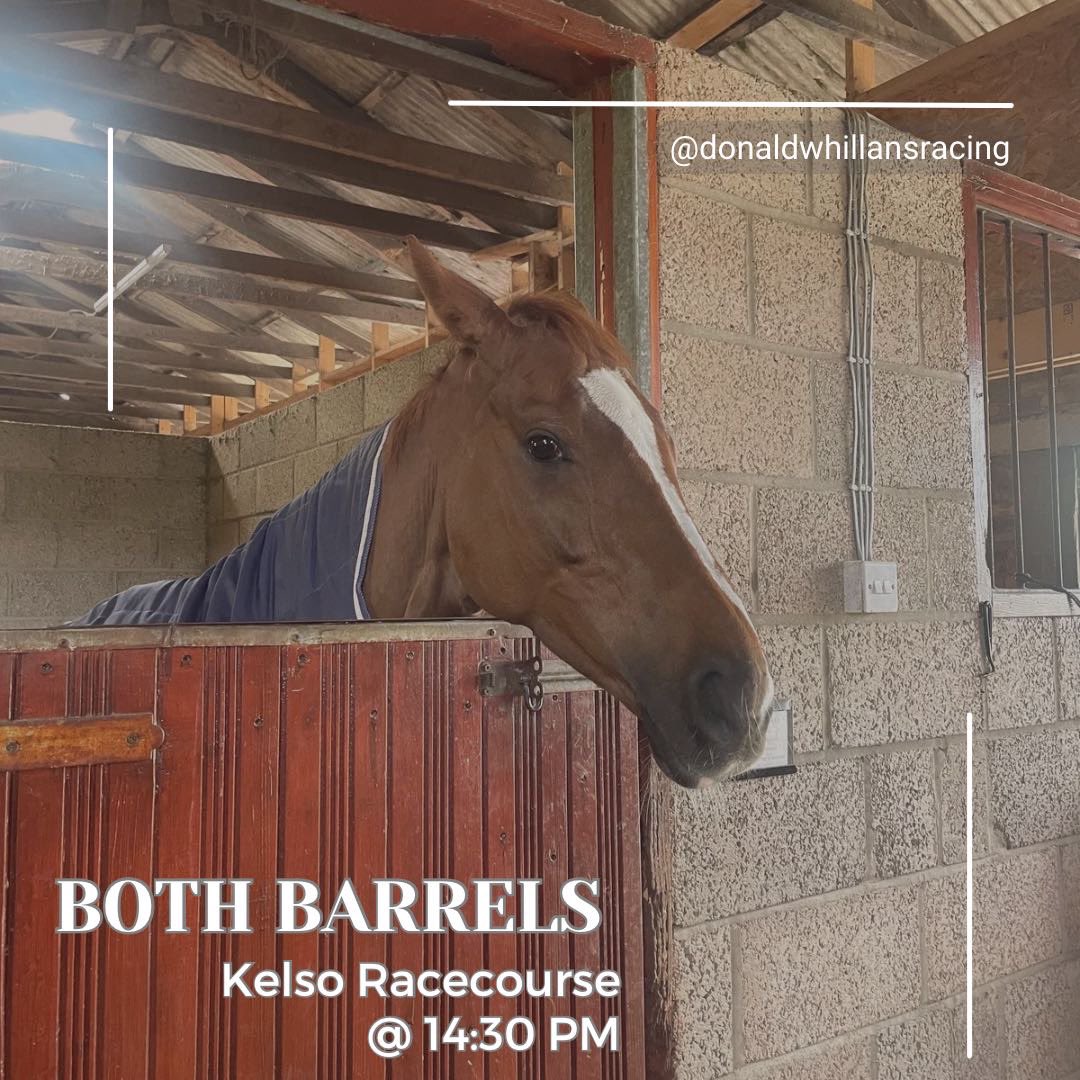 🏁Race Day🏁 We are headed to @KelsoRacecourse ⏰ 14:30 🐎 BOTH BARRELS 🐎 ⚡️ Craig Nichol in the saddle 🔑 For Mrs Anne Marshall 👇🏼Race preview posted below👇🏼 donaldwhillansracing.com/News/Apr15thNe…