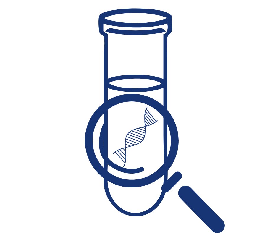 At #MoSTFun we aim to:

1. Test current #monitoring programs and initiatives for their potential to include monitoring of #aquaticfungi taxonomic and functional #Diversity

#MoSTFun

🧵1/5